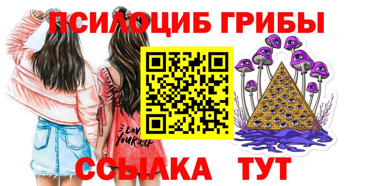 Псилоцибиновые грибы мицелий Гулькевичи